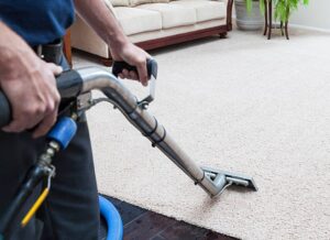 The Rugman carpet cleaning Adelaide